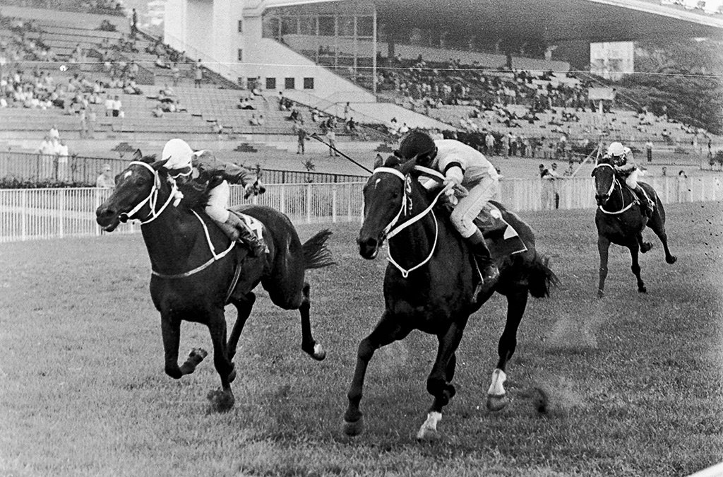 história corrida de cavalos