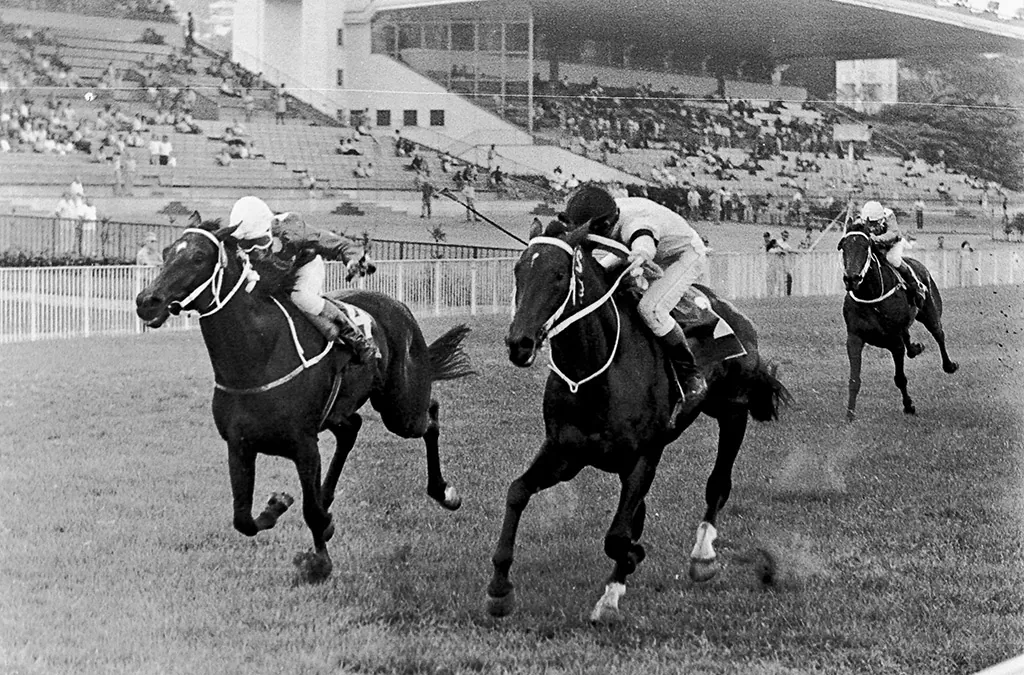 história corrida de cavalos